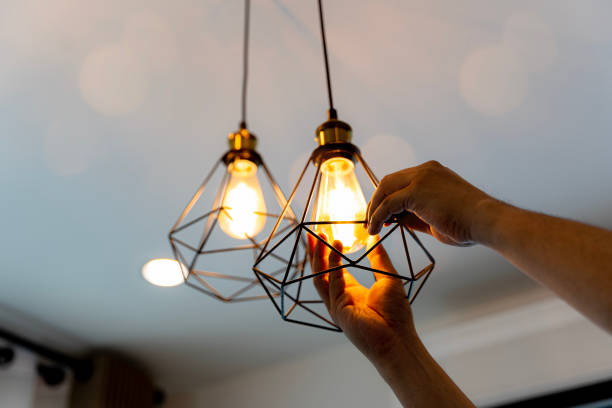 Best Affordable Electrician  in Holland, MI