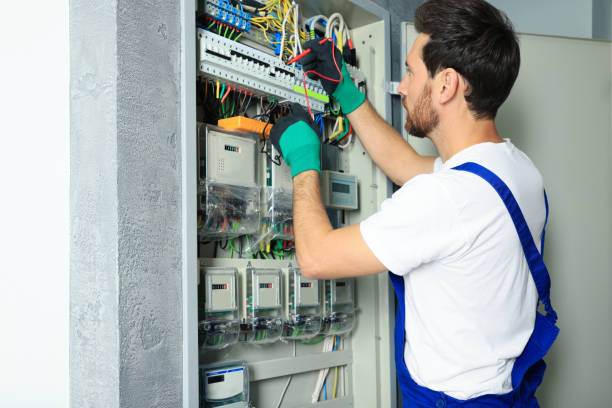Best Home Electrical Repair  in Holland, MI