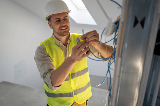 Best Electric Panel Repair  in Holland, MI